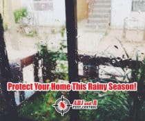 Don’t let termites make a meal out of your home!