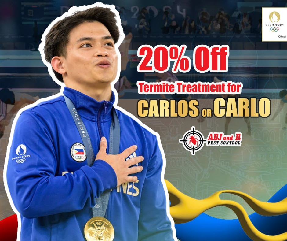 Celebrating Carlos Yulo's Victory in Paris! 1 Celebrating Carlos Yulo's Victory in Paris!