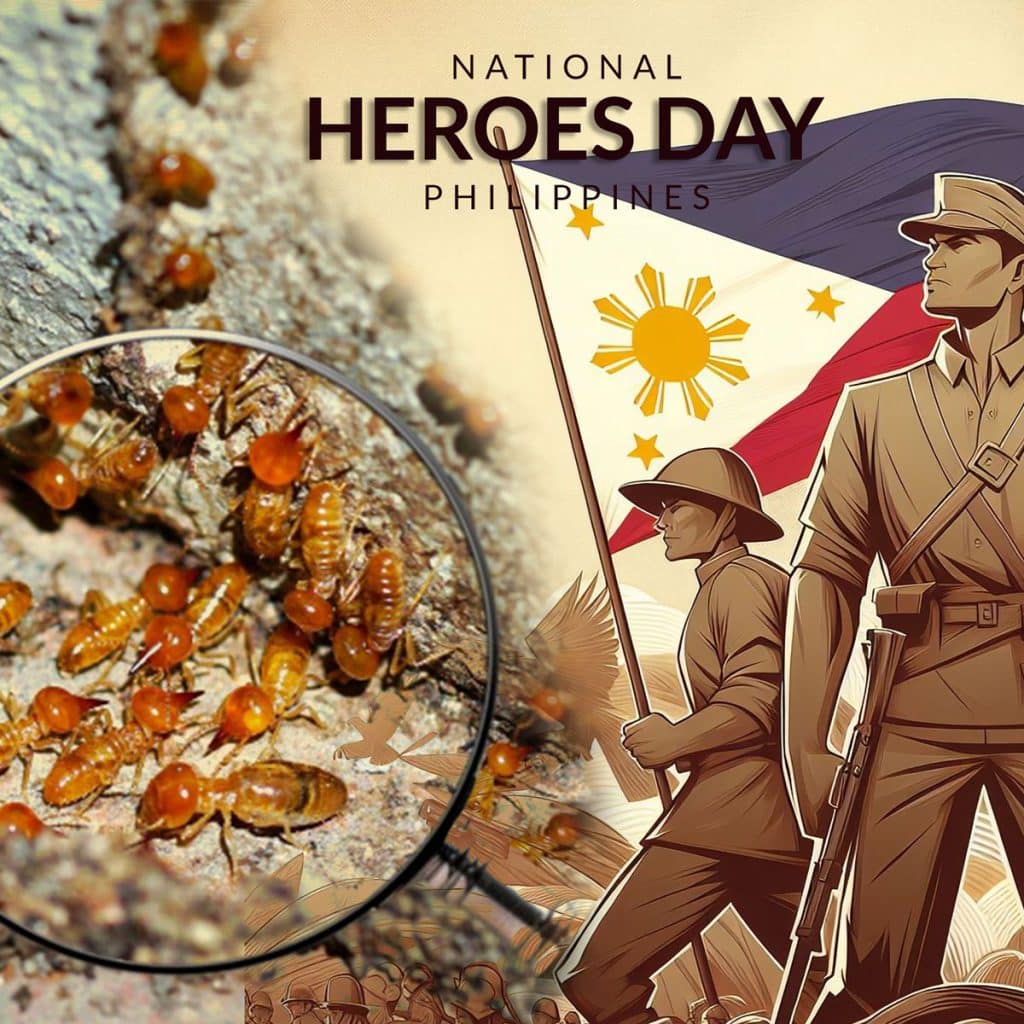 This National Heroes Day, Be the Hero Your Home Deserves! 1 This National Heroes Day, Be the Hero Your Home Deserves!