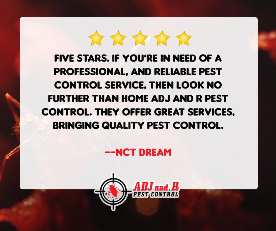 🌟 Great Services 🌟 1 pest control davao - ADJ and R Pest Control Services in Davao City