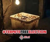 Don’t let termites rig your home’s integrity—call us today!