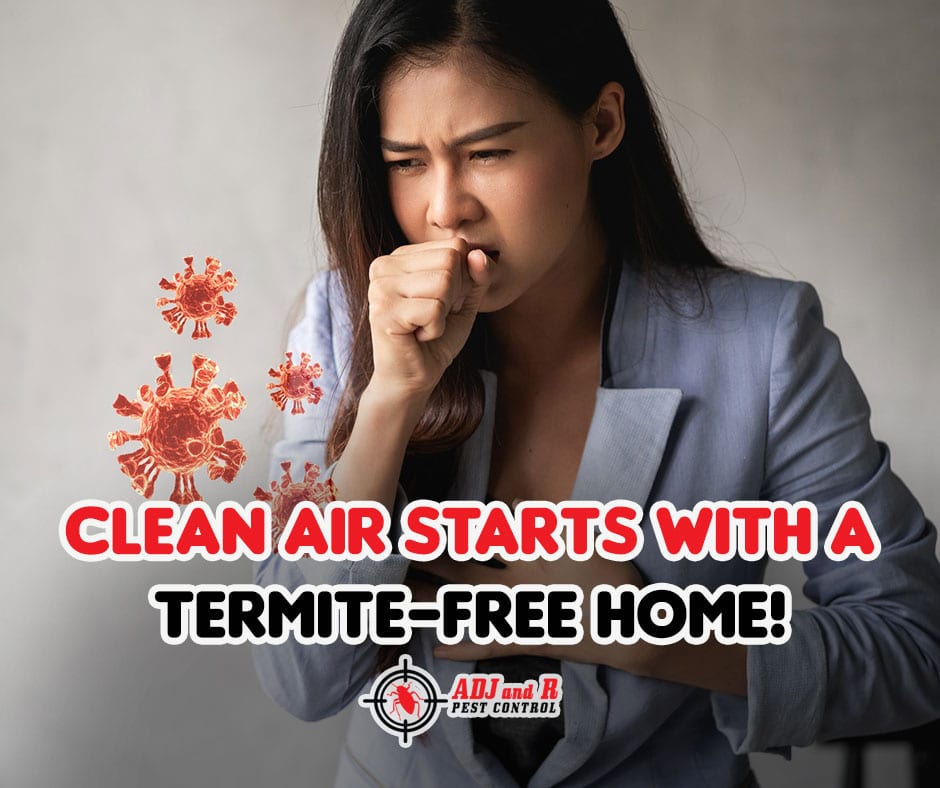 termite adj - ADJ and R Pest Control Services in Davao City