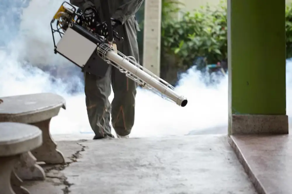 The Role of Fogging in Davao in Combating Mosquitoes Amidst the Rainy ...
