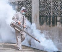 Effective Mosquito Control in Davao: Strategies for the Rainy Season
