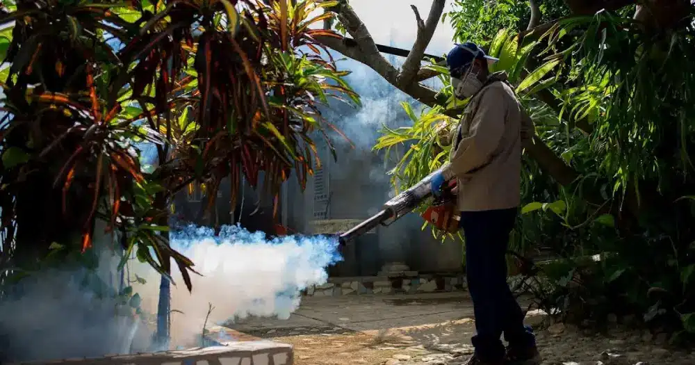 A Resident’s Guide to Fogging in Davao and Choosing the Right Fumigation or Disinfection Service 1 Fogging in Davao