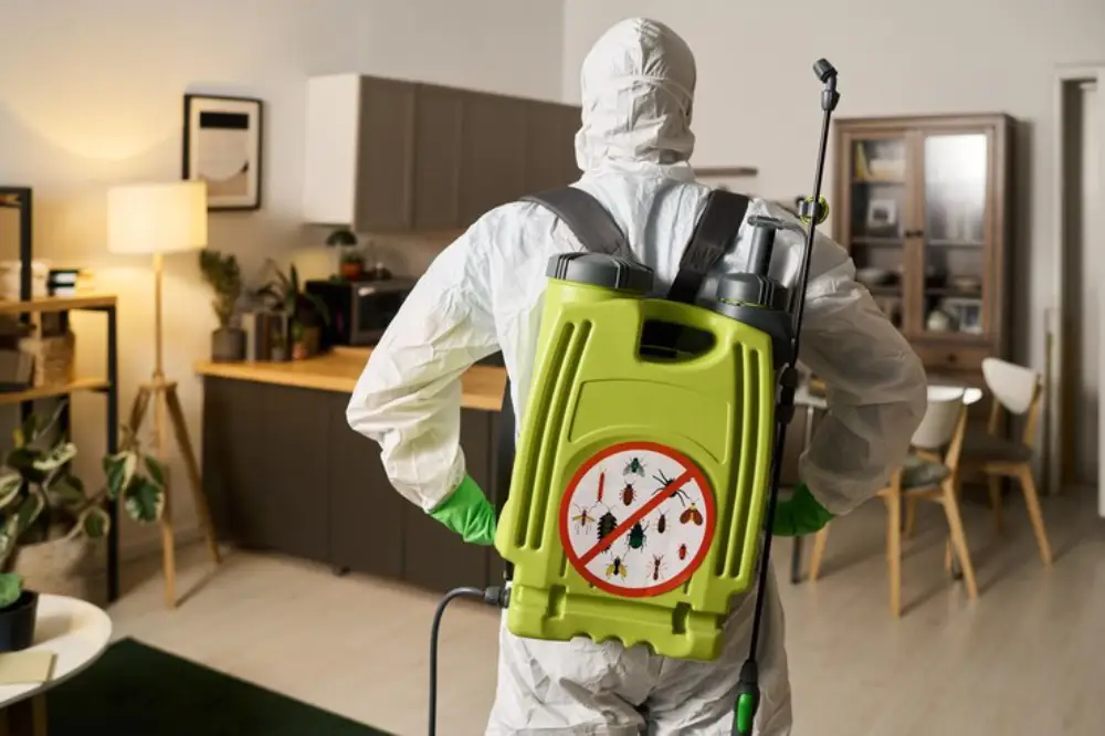 Post-Flood Safety: How Pest Control Services in Davao City Prevent Pest Infestations 1 Learn how Pest Control Services in Davao City from ADJ and R Pest Control safeguard homes and businesses from infestations after floods. Protect your health and property today.