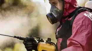 Rain, Heat, and Humidity: January Pest Control Davao Challenges You Shouldn’t Ignore