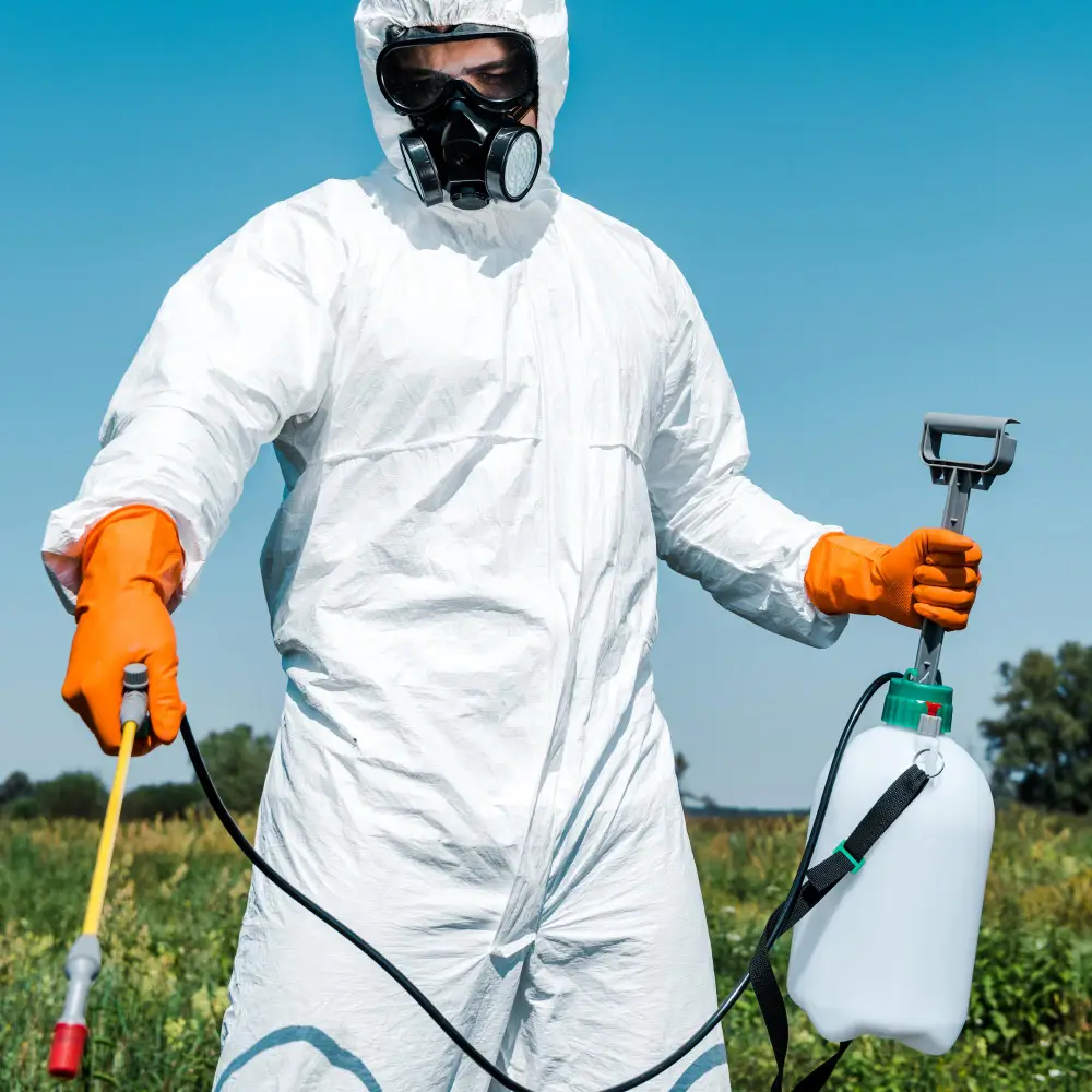 Rainy Season Alert: Top Pest Problems and How Pest Control Services Davao City Can Protect You 1 pest control services davao city