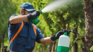 Pest Control in Davao During the “Ber” Months: Protect Your Home Before the Holiday Rush